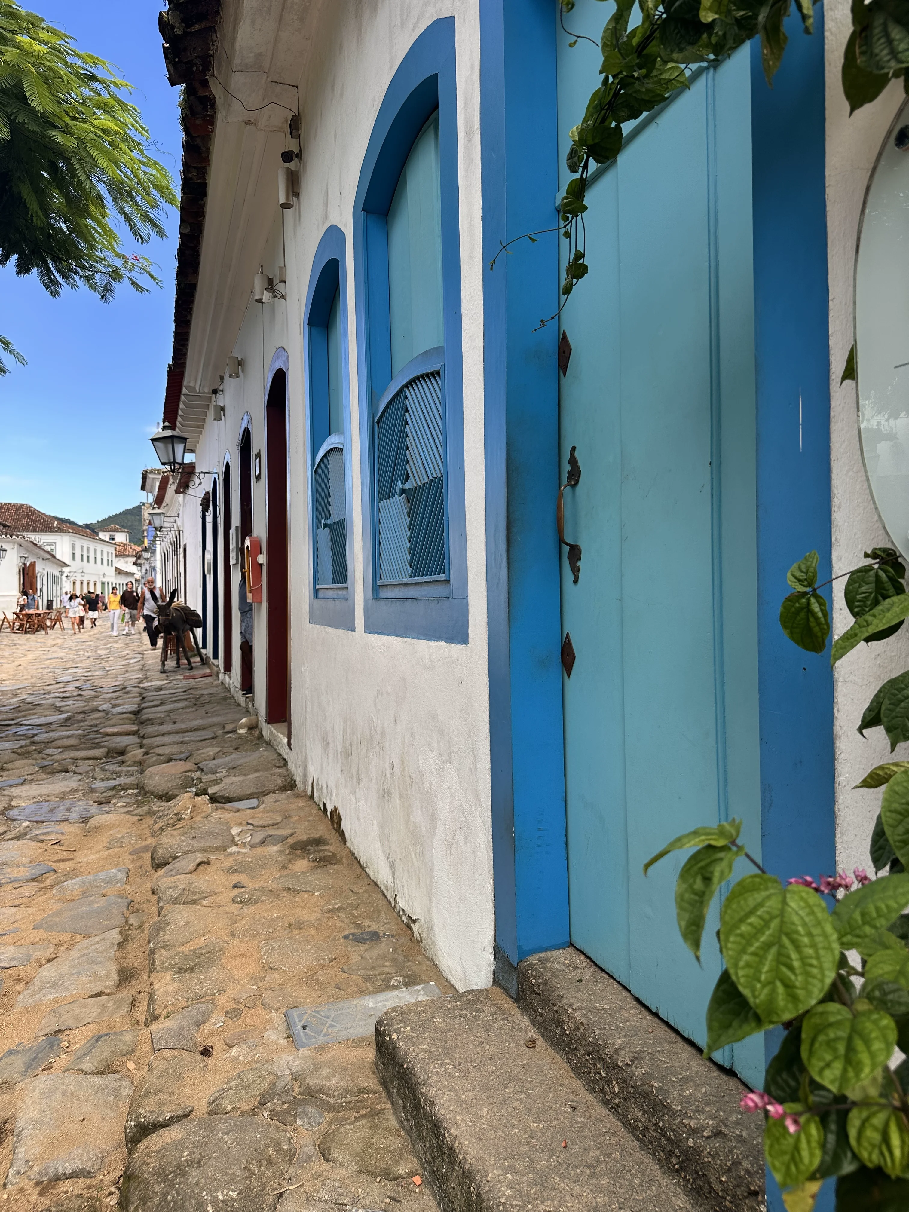 The Historic Center is entirely walkable, and largely closed to cars anyway.