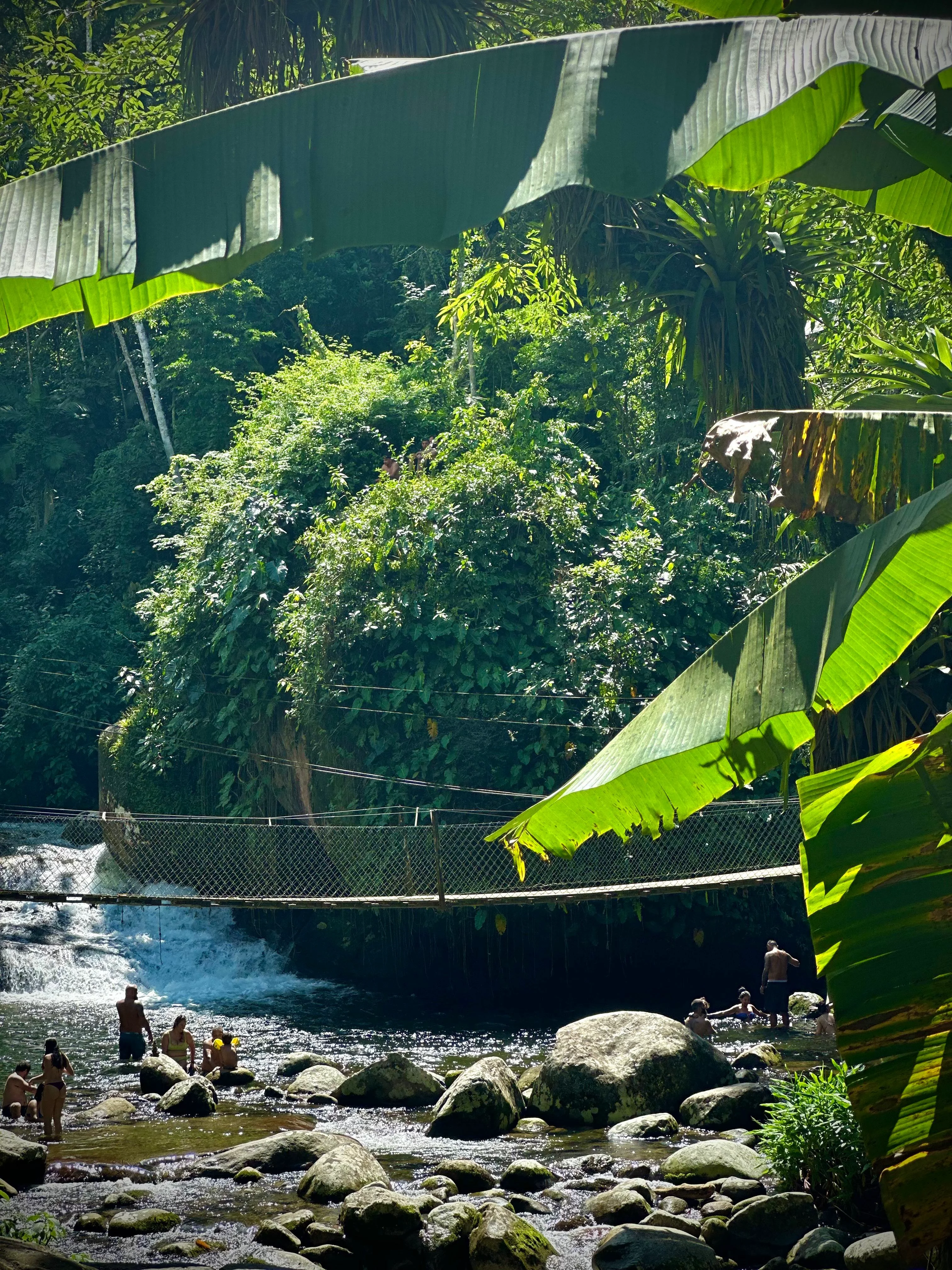 Paraty offers a wider range of activities; Ilha Grande focuses on beaches and hiking.