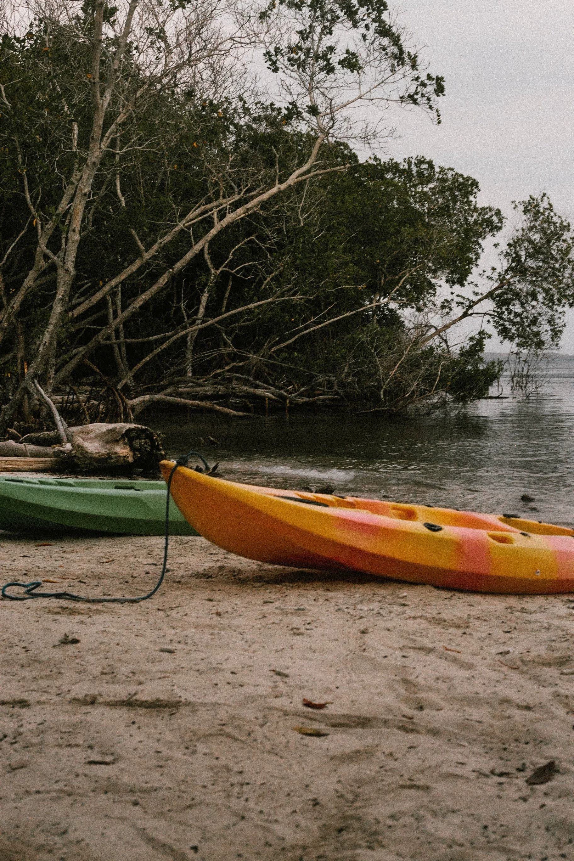 Calm, sheltered water makes Saco do Mamanguá ideal for swimming and paddling.