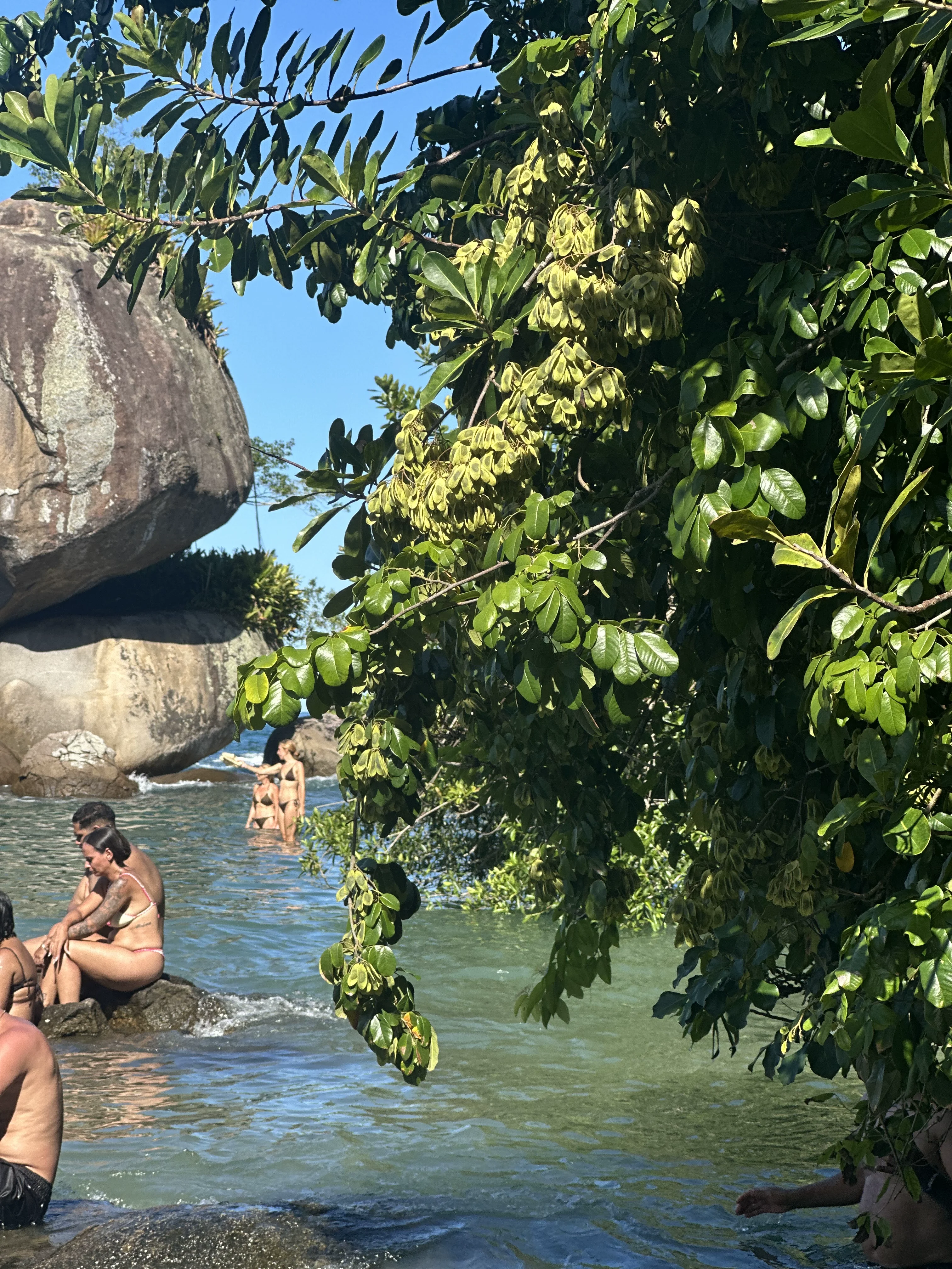 Many visitors spend a full day exploring Trindade's beaches and trail.
