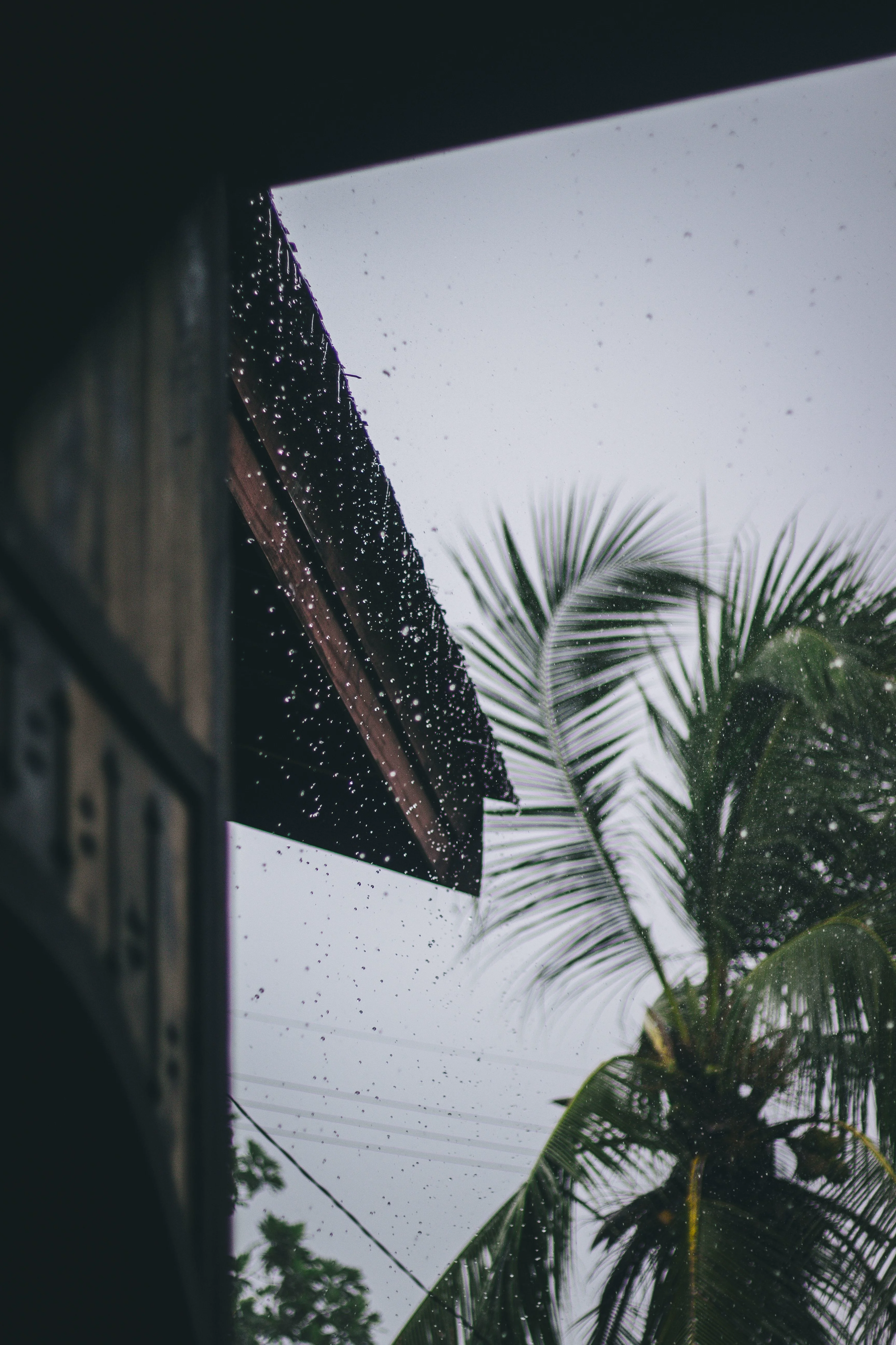 Afternoon downpours during the wetter months tend to arrive quickly and pass just as fast.